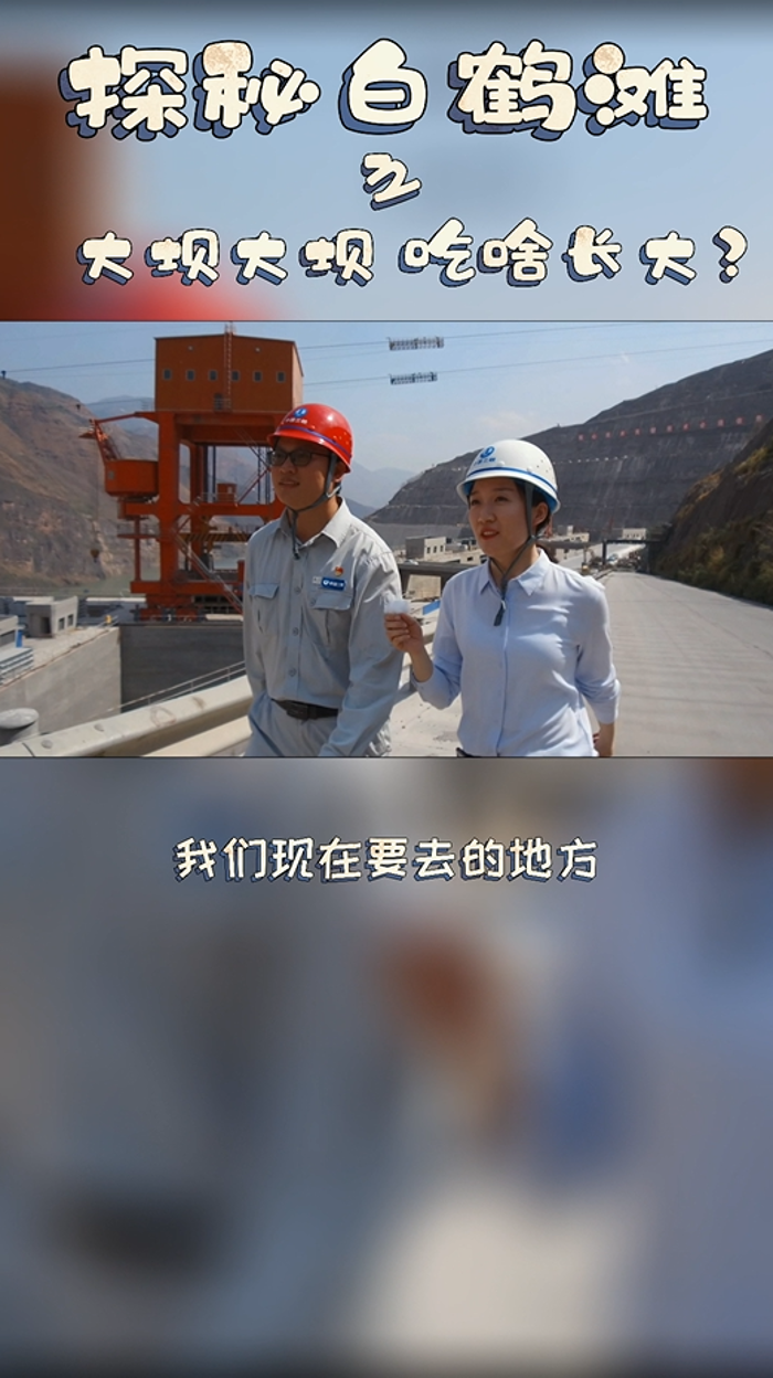 大壩大壩，吃啥長大？